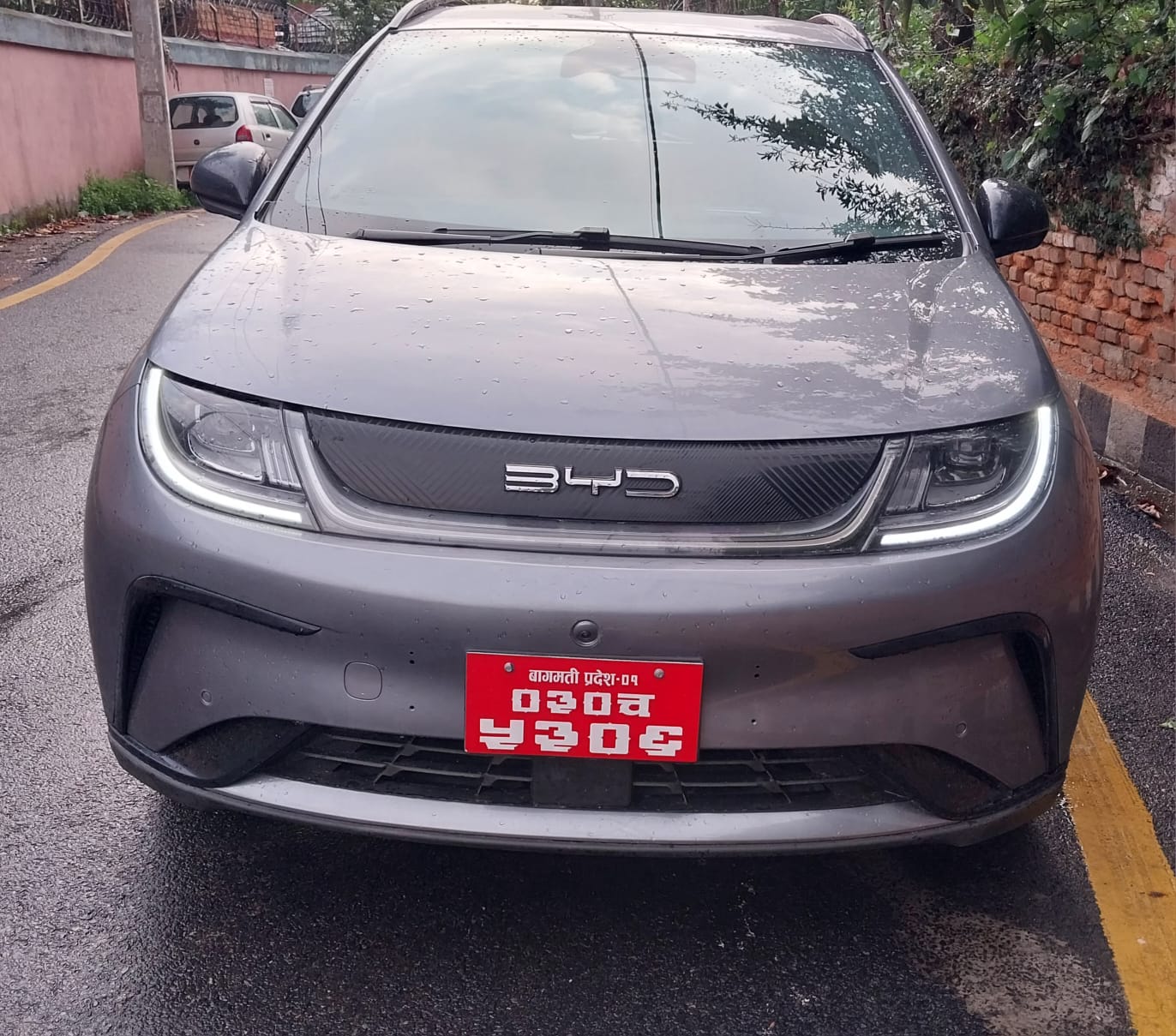 BYD Dolphin