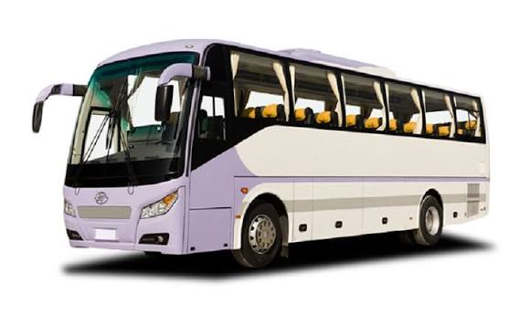 Tourist bus